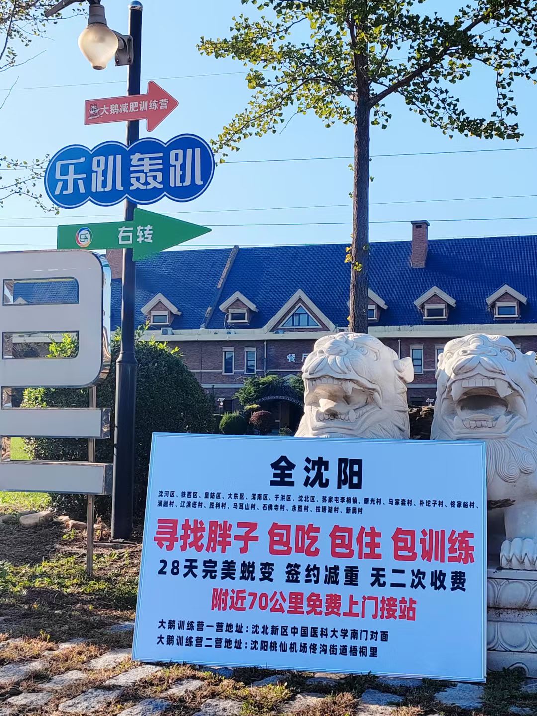 报名减脂营必看！六大疑问一次性解答，实拍大鹅训练营实况