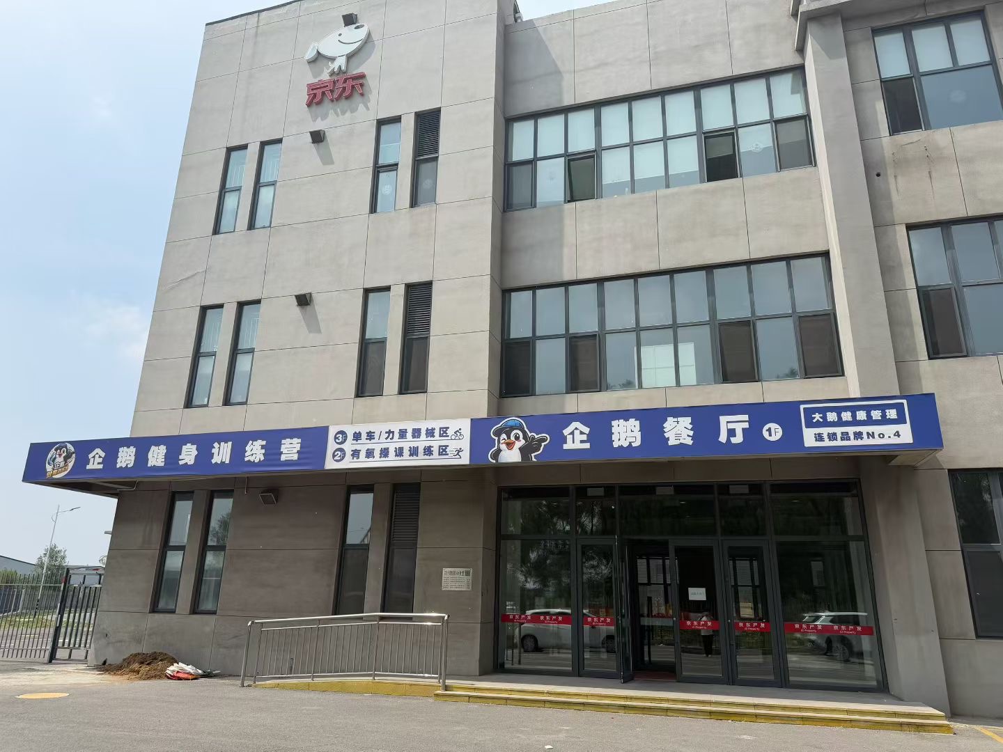 企鹅训练营减肥效果